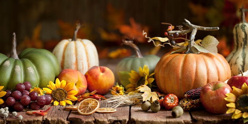 Autumn Scamper 5k
